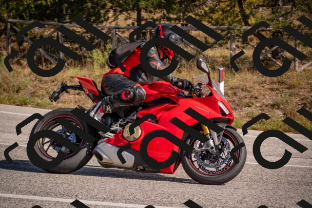 20251019123736-_5000617_am_