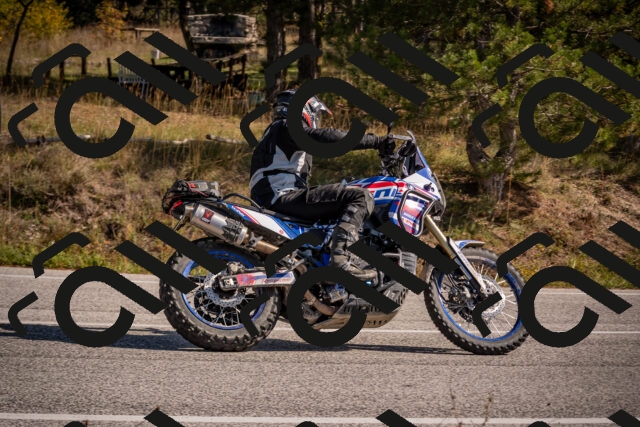 20251019123746-_5000625_am_