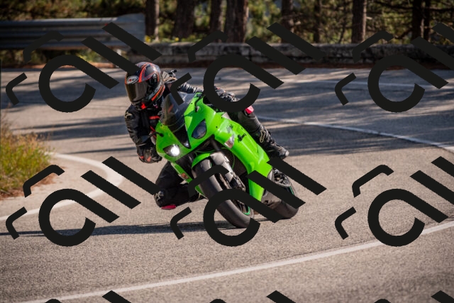 20251019124408-_5000667_am_