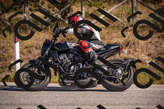 20251019124419-_5000687_am_