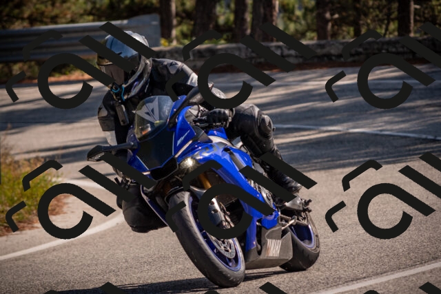 20251019124439-_5000705_am_