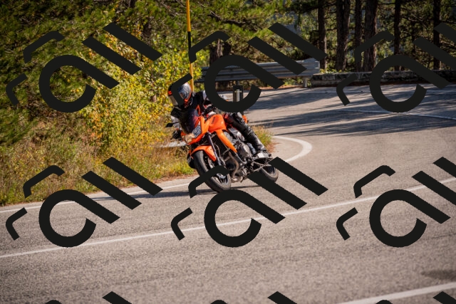 20251019125003-_5000766_am_