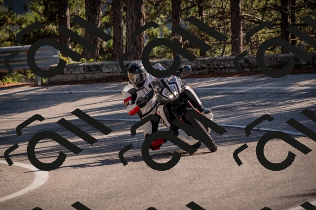 20251019125056-_5000772_am_