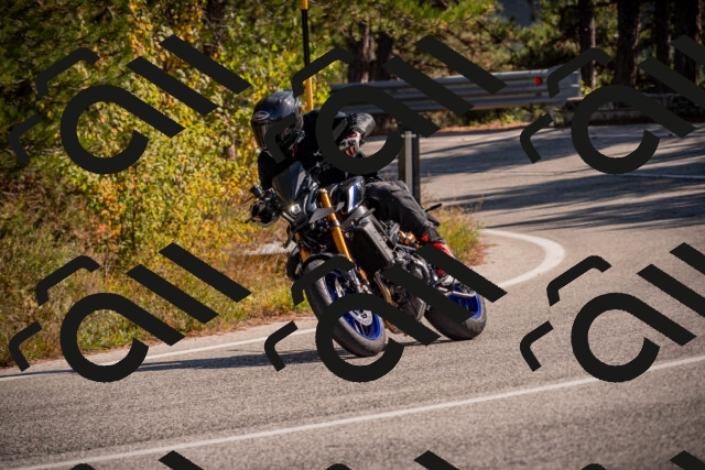 20251019125100-_5000780_am_