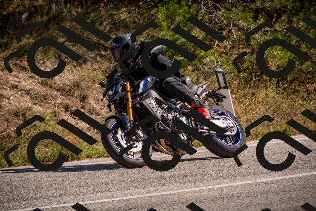 20251019125101-_5000781_am_