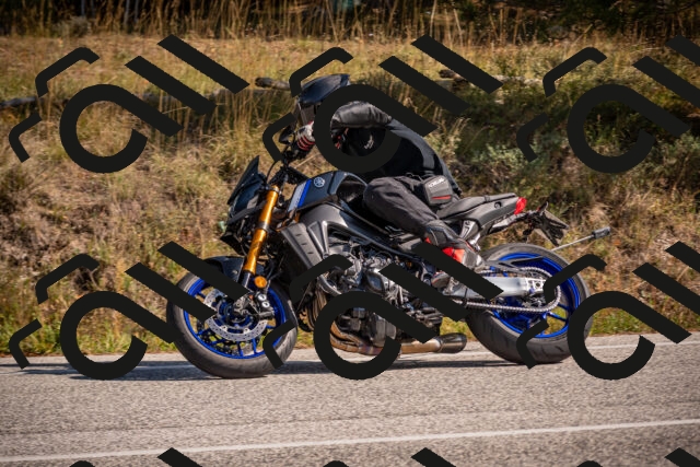 20251019125101-_5000782_am_