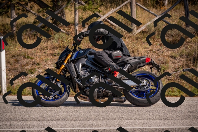 20251019125101-_5000783_am_