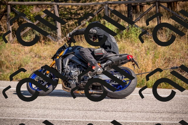 20251019125101-_5000784_am_