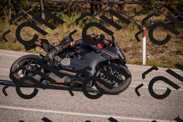 20251019125125-_5000794_am_