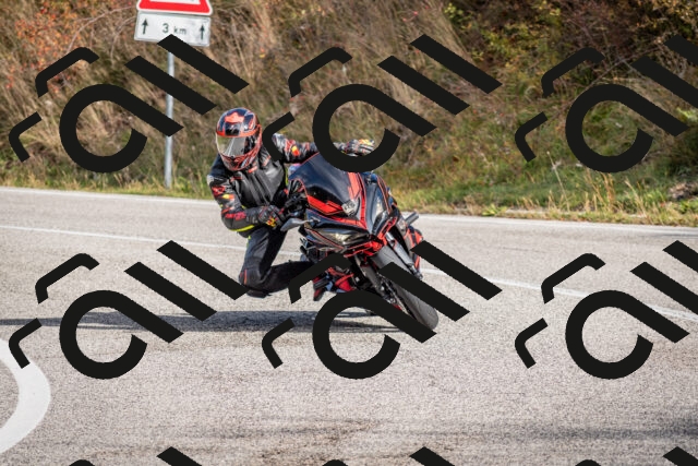 202510191033-DSC_8637_c2