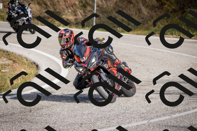 202510191033-DSC_8638_c2