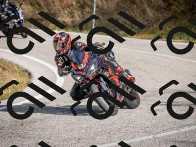 202510191033-DSC_8638_c2