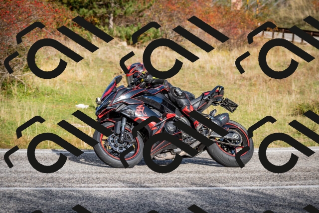 202510191033-DSC_8639_c2