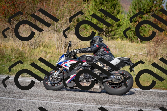 202510191034-DSC_8642_c2