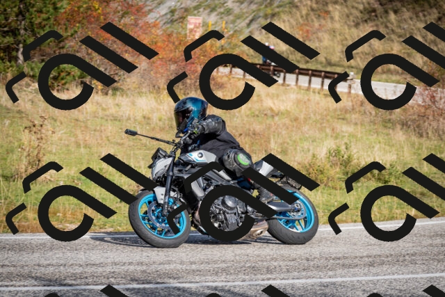 202510191034-DSC_8644_c2