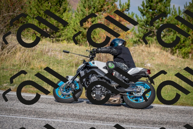 202510191034-DSC_8645_c2