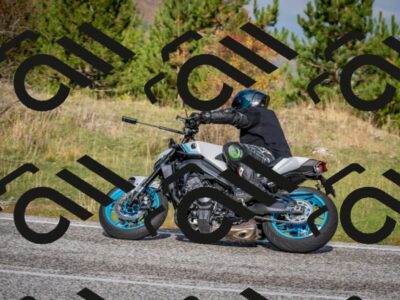 202510191034-DSC_8645_c2