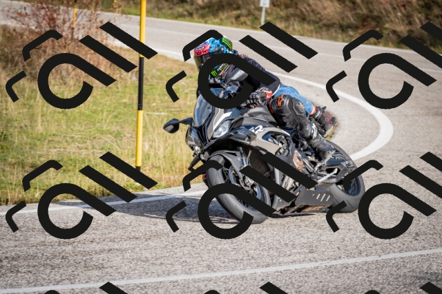 202510191034-DSC_8646_c2