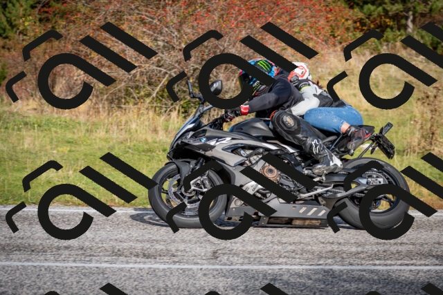 202510191034-DSC_8647_c2