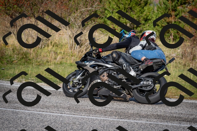 202510191034-DSC_8648_c2