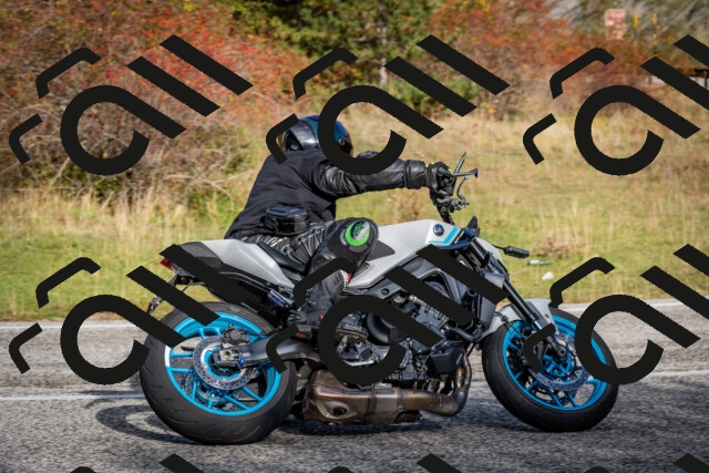 202510191035-DSC_8651_c2