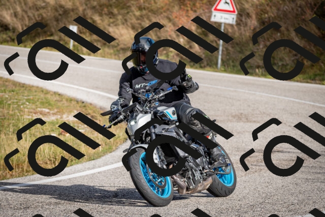 202510191035-DSC_8653_c2