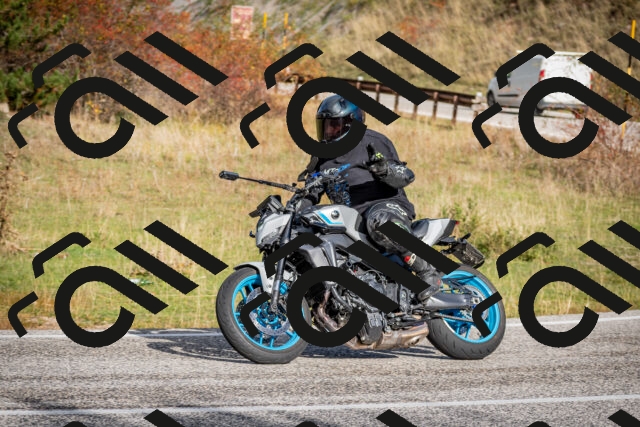 202510191035-DSC_8654_c2