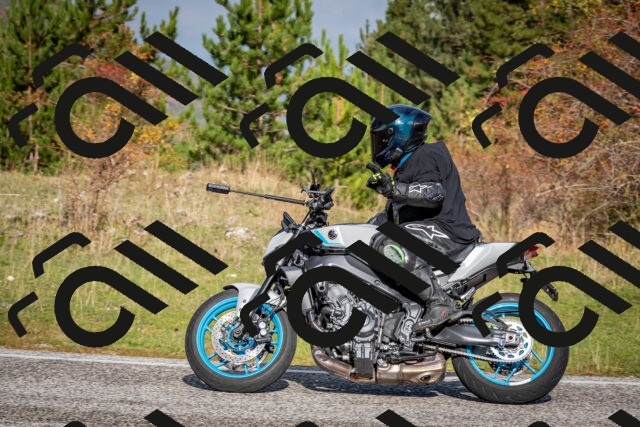 202510191035-DSC_8655_c2