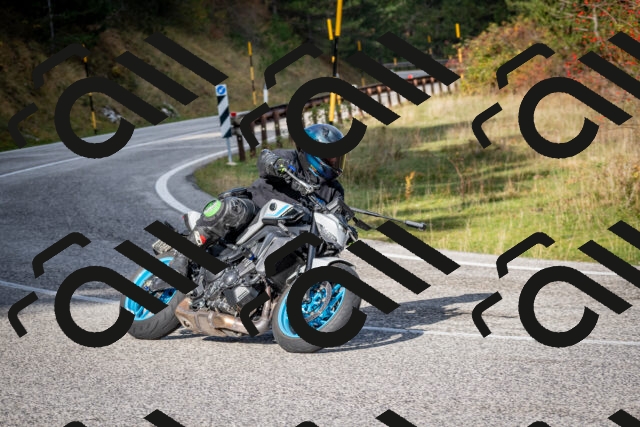 202510191036-DSC_8658_c2