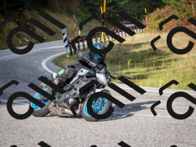 202510191036-DSC_8658_c2