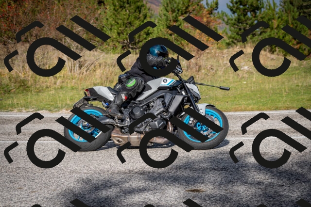 202510191036-DSC_8659_c2