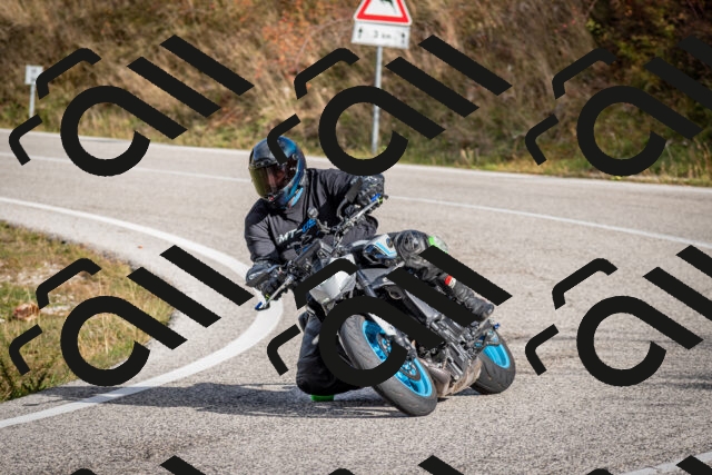 202510191037-DSC_8661_c2