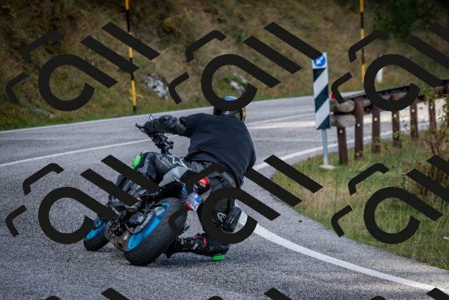 202510191037-DSC_8662_c2