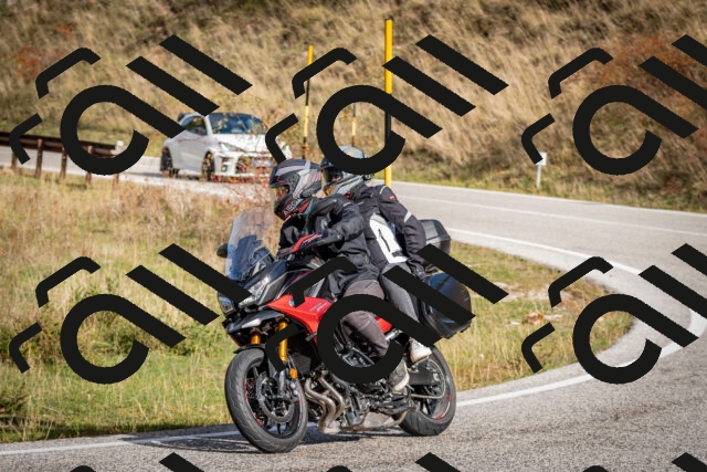 202510191037-DSC_8663_c2