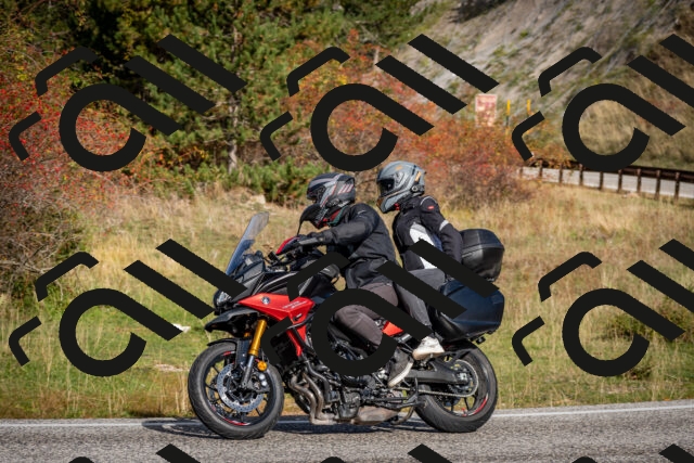 202510191037-DSC_8664_c2