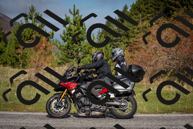 202510191037-DSC_8665_c2