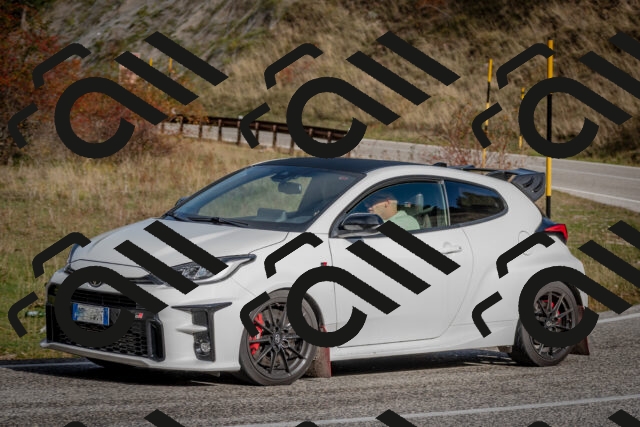 202510191037-DSC_8667_c2