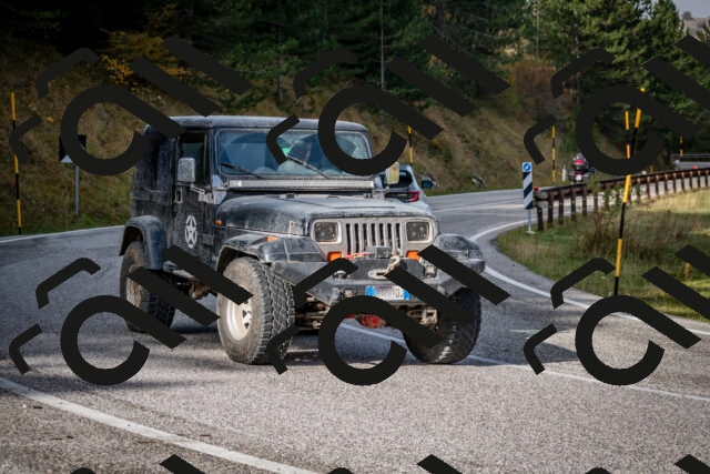 202510191037-DSC_8669_c2