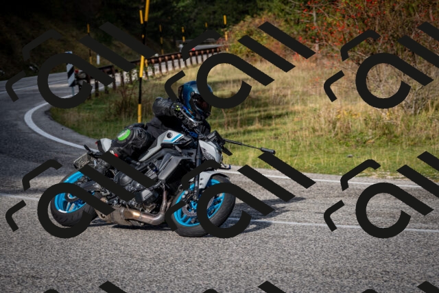 202510191038-DSC_8670_c2