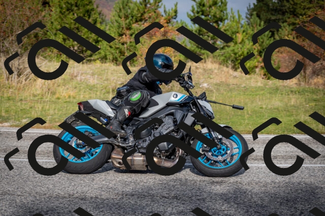 202510191038-DSC_8671_c2