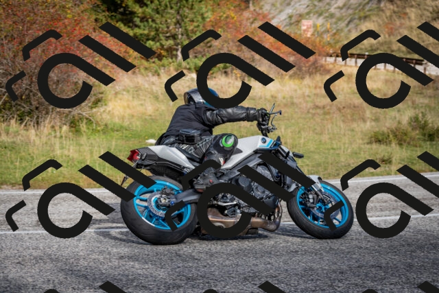 202510191038-DSC_8672_c2