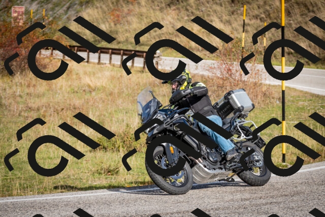 202510191045-DSC_8674_c2