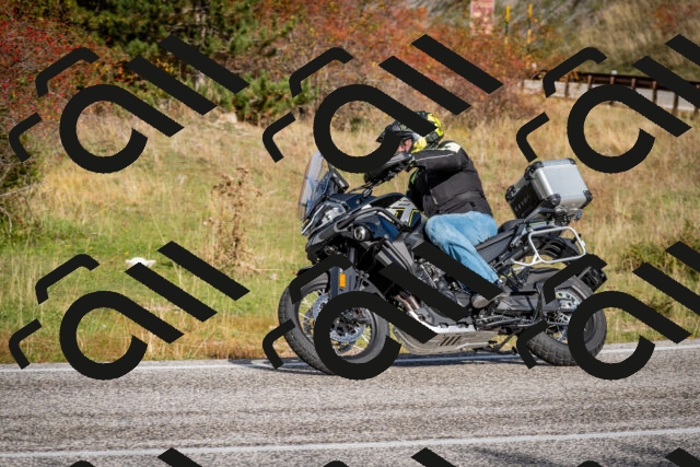 202510191045-DSC_8675_c2