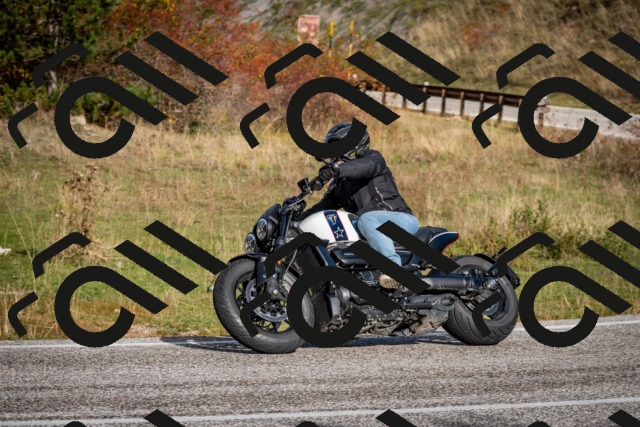 202510191045-DSC_8676_c2