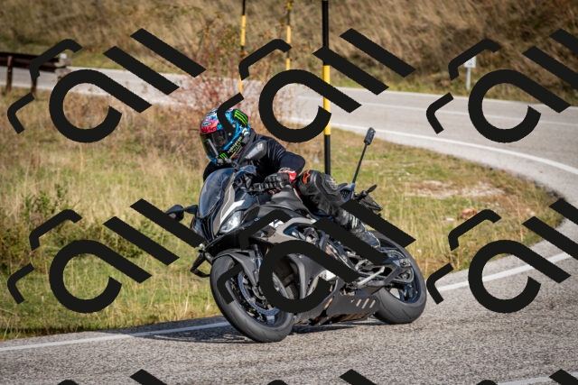 202510191046-DSC_8679_c2