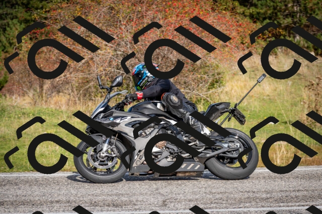 202510191046-DSC_8680_c2