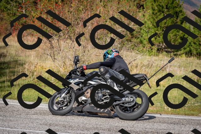 202510191046-DSC_8681_c2