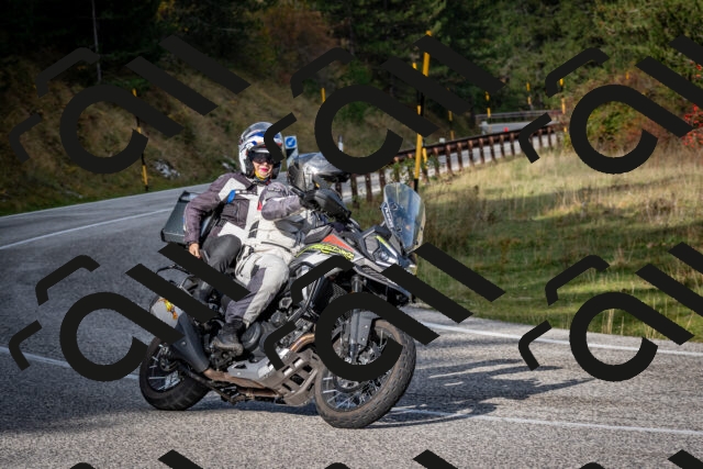 202510191046-DSC_8682_c2