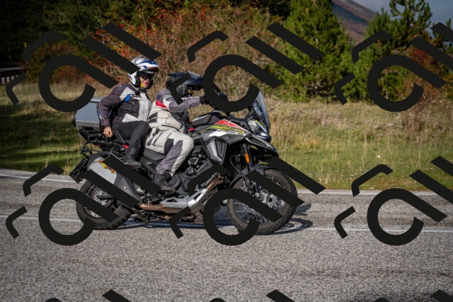 202510191046-DSC_8683_c2