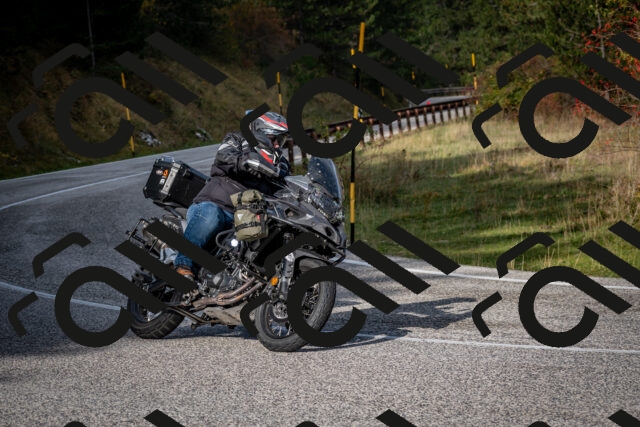 202510191046-DSC_8684_c2